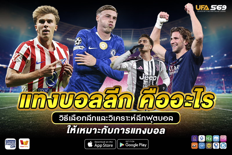 แทงบอลลีก คืออะไร